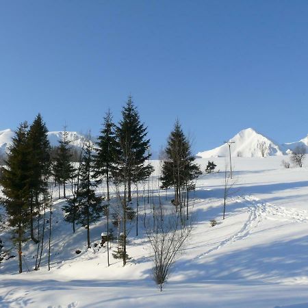 Goralska Obora Vendégház Sebesér Kültér fotó